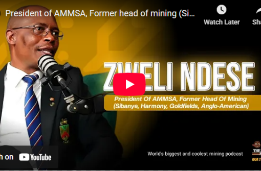 President of AMMSA, Former head of mining (Sibanye, Harmony , Gold Fields, Anglo American)
