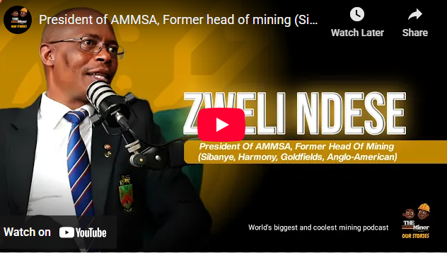 President of AMMSA, Former head of mining (Sibanye, Harmony , Gold Fields, Anglo American)