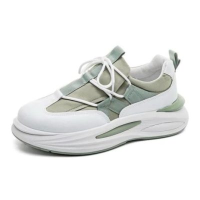 sekhukhune 1882 green light