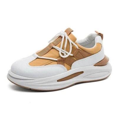 Sekhukhune 1882 orange